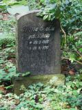 image of grave number 358094
